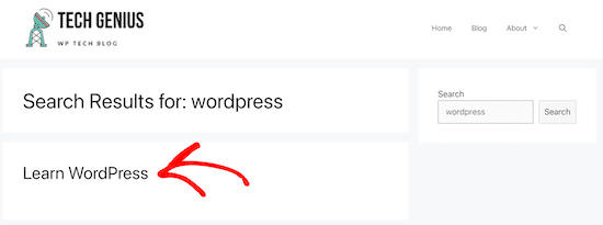 使用SearchWP插件设置改进WordPress默认搜索教程插图14