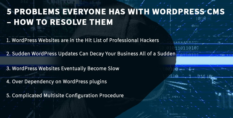 WordPress 内容管理系统