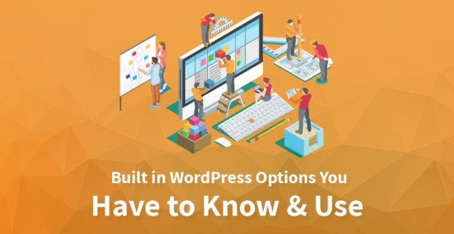 您必须知道的内置 WordPress 选项
