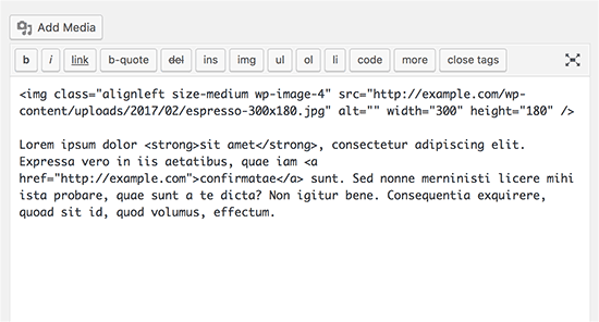 HTML 编辑器 WordPress