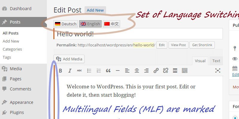 WordPress 多语言网站