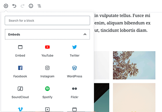 嵌入视频 WordPress 编辑器