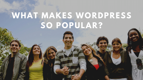 是什么让 WordPress 如此受欢迎