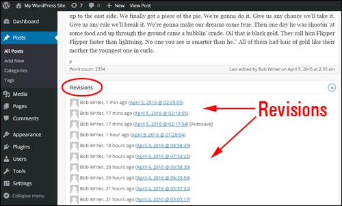 WordPress 后修订