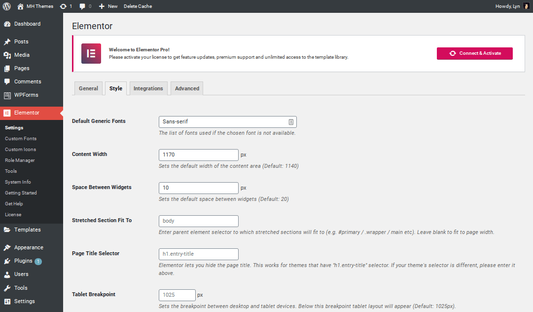 Elementor WordPress 设置
