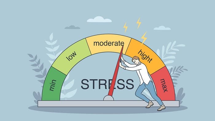 对WordPress站点进行负载并发性能测试的简单指南插图