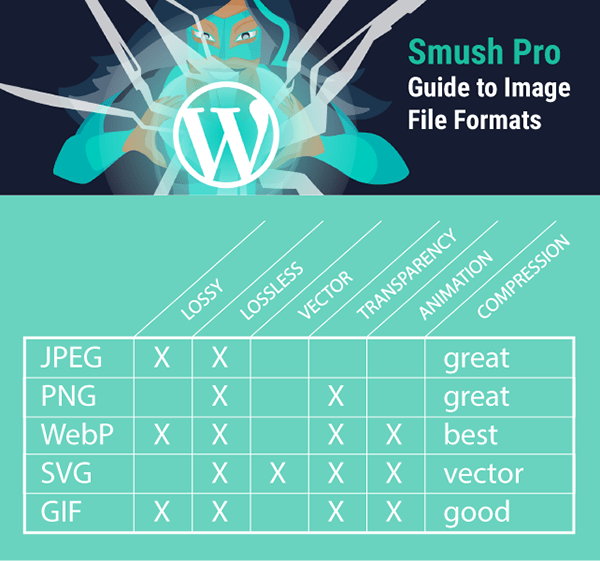 JPEG、SVG、PNG、WebP 和 GIF 的图表总结功能