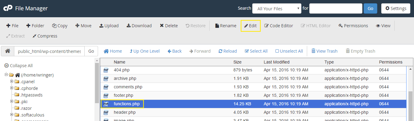 cPanel 中的文件管理器。已选择 functions.php 文件。