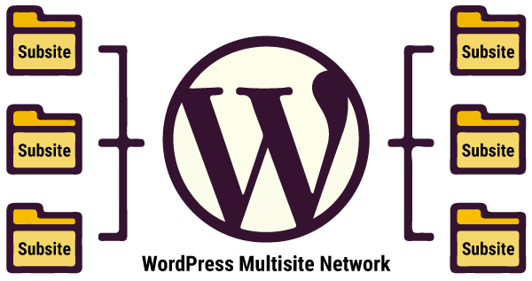显示 WordPress 多站点网络是什么的信息图