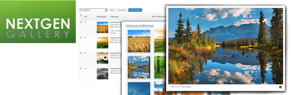 最慢的 WordPress 插件 - NextGen Gallery 插件