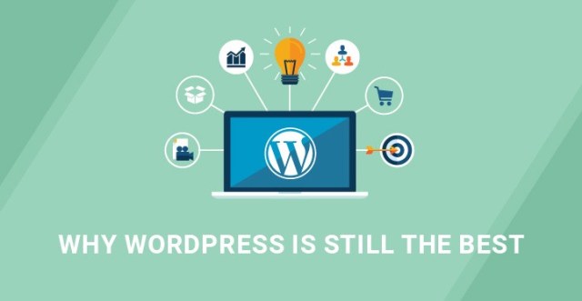 选择 WordPress 来构建您的网站