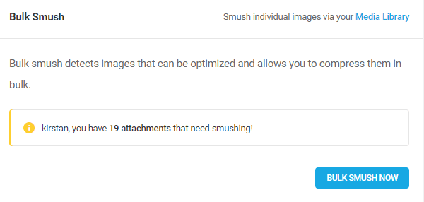 需要 smushing 的图像数量的屏幕截图 - 19。