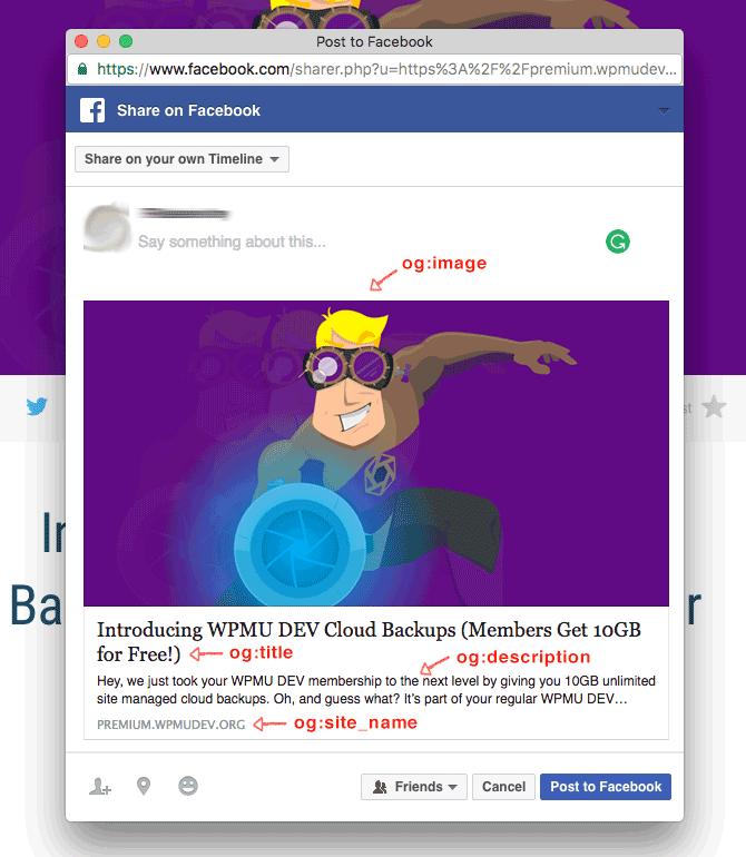 分享到 Facebook 时发布的 WPMU DEV 示例。