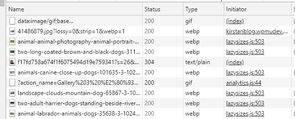 开发人员工具选项卡的屏幕截图，显示图像是 webp 的证明。
