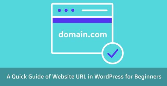 WordPress 中的网站 URL
