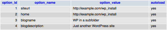 wp_options 表