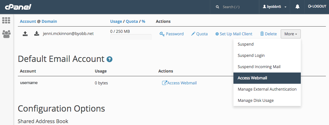 cPanel 中的“添加电子邮件帐户”页面和“电子邮件帐户”部分。 已单击“更多”按钮，并突出显示“访问 Webmail”按钮。
