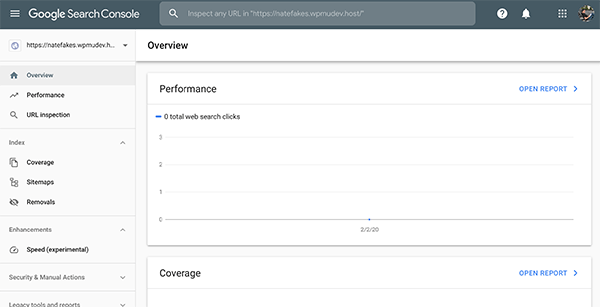Google Search Console 数据库的外观。