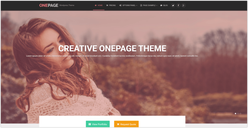 OnePage 主题，默认