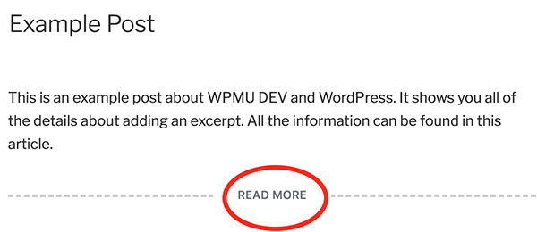 WordPress 中的 Read More 分页符。