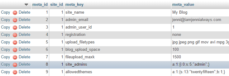“site_meta”行在“meta_key”列下突出显示。