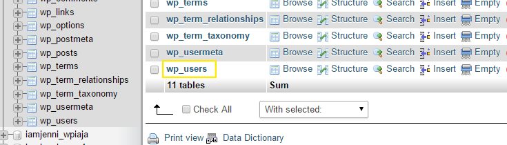 “wp_users”表在所选数据库的表列表中突出显示。