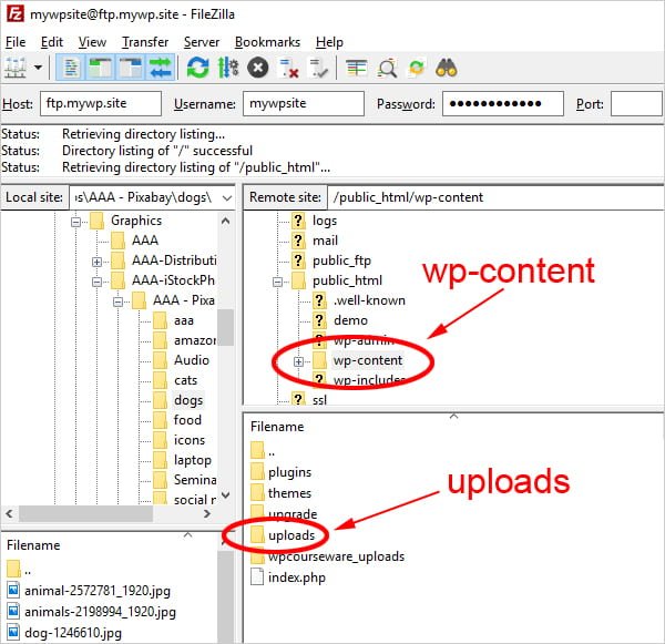 选择了 wp-content 上传文件夹的 FTP 客户端屏幕截图。