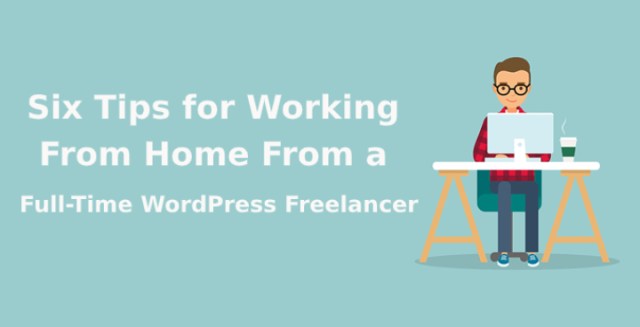 全职 WordPress 自由职业者