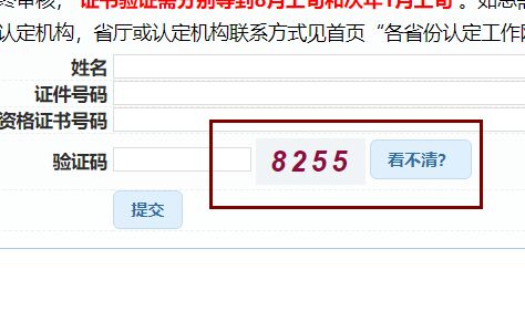 FORM表单验证码