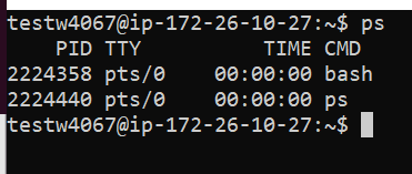查看Linux正在运行的进程并进行管理的命令介绍插图 查看Linux正在运行的进程并进行管理的命令介绍插图