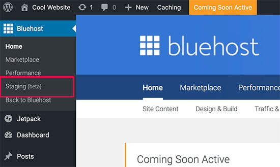 暂存站点 Bluehost