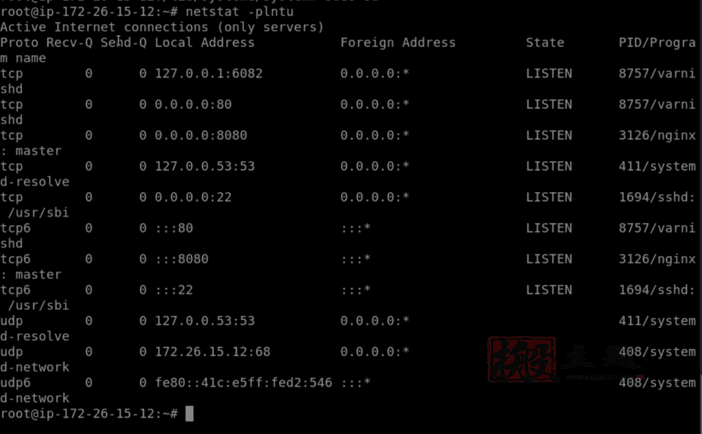 Varnish Cache+Nginx反向代理安装配置图文教程插图16