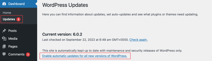 启用自动WordPress 更新