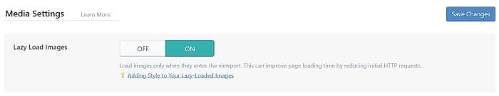 在WordPress中禁用默认延迟加载防止冲突插图4