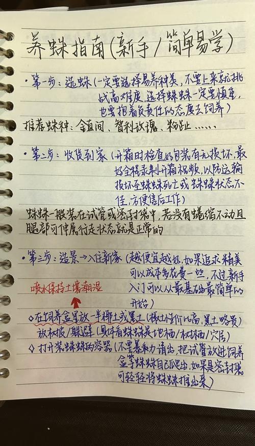 蜘蛛抓取方式，提升网站流量，你学会了吗？