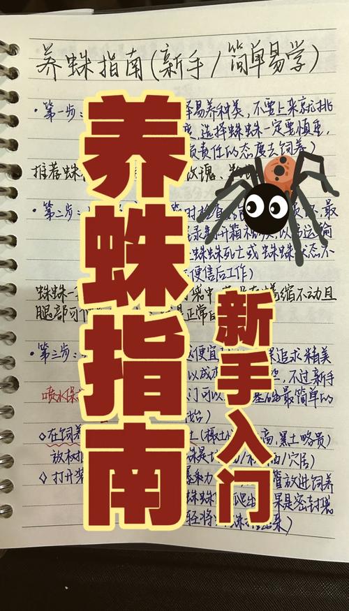 搜索引擎蜘蛛爬行不顺畅，如何快速解决？