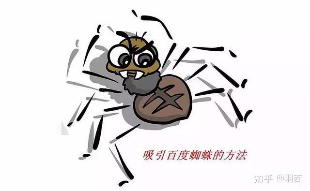 蜘蛛抓取规则有哪些？掌握这些，网站排名更靠前！
