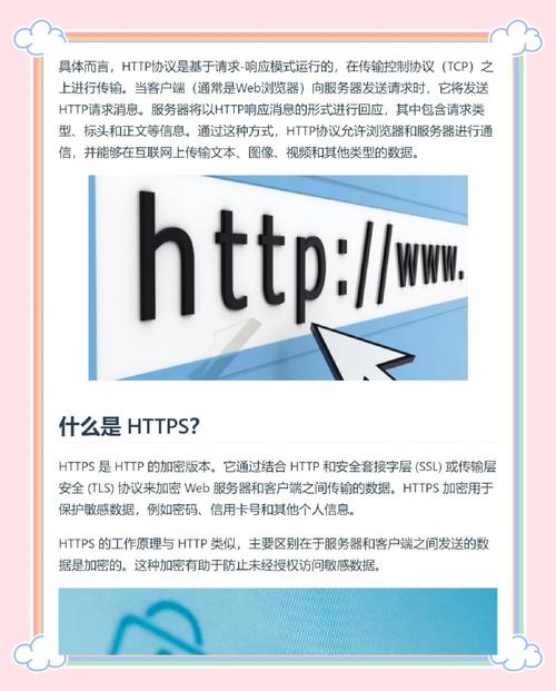 如何区分www域名与不带www域名，避免网站SEO错误？