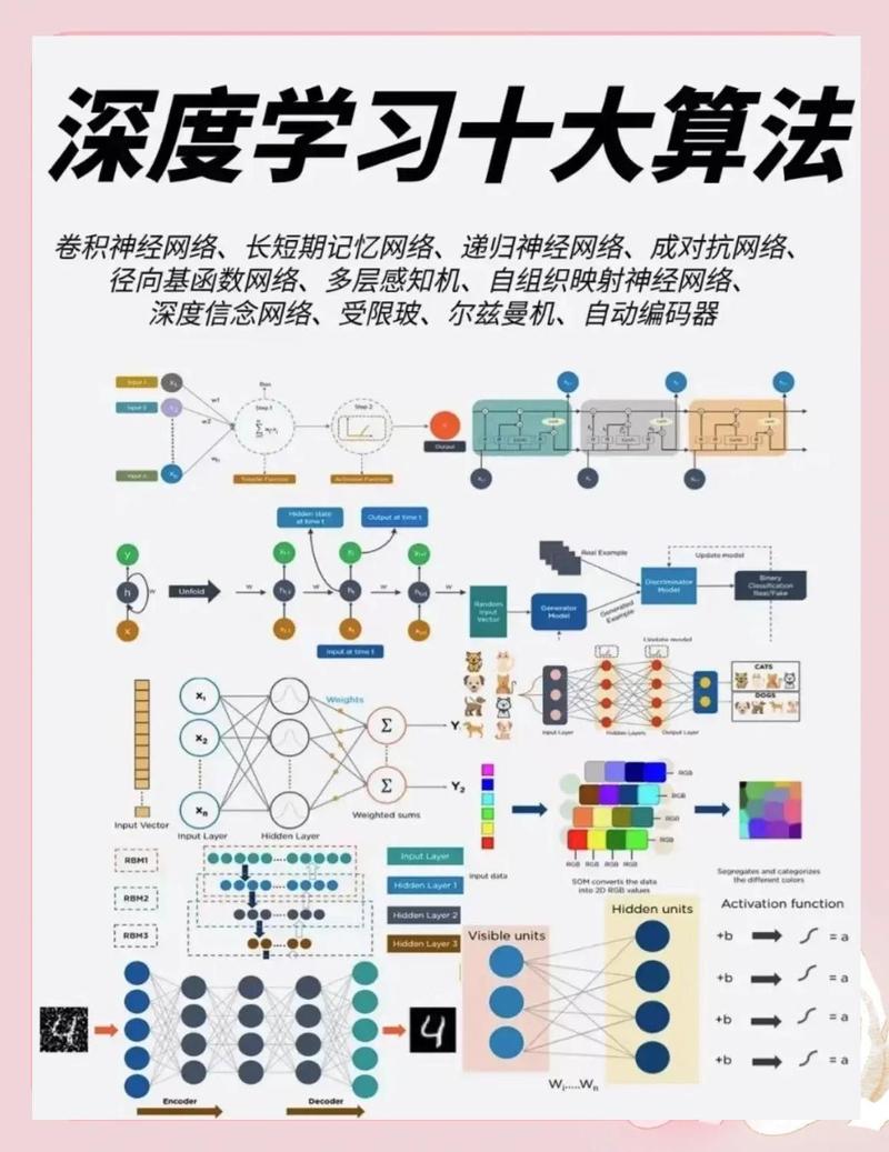 阅读7月算法预警，能了解百度细雨算法如何助你提升搜索排名吗？