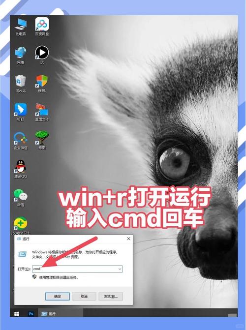 看ipconfig，轻松掌握电脑IP地址，网络设置不求人！