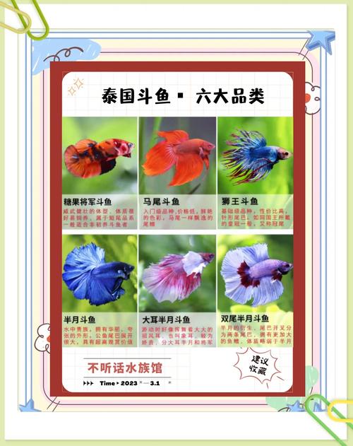 阅读伟鳕罗蓝，能掌握哪些养殖技巧和经济效益？