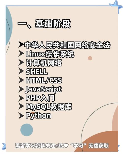 学习网站维护，我能掌握哪些实用技能？