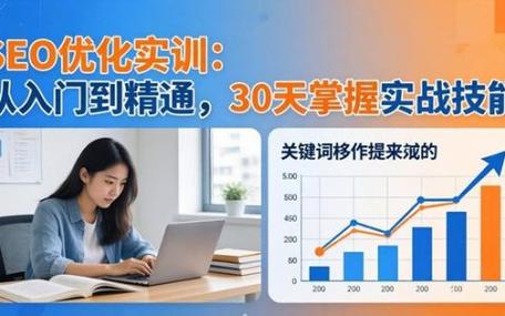 学习系统化SEO优化，我能掌握哪些关键技能？