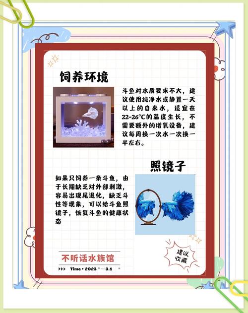 阅读伟鳕罗蓝，能掌握哪些养殖技巧和经济效益？