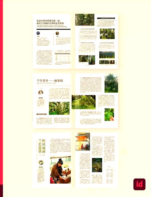 学习访客分析，如何让网页设计更吸引人？