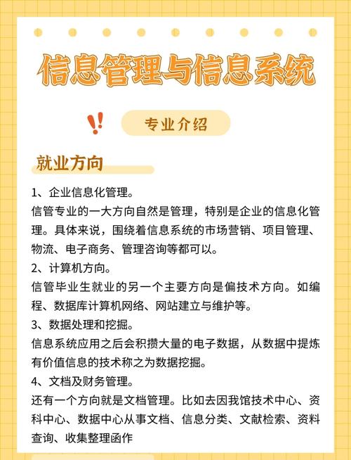 学习网站SEOer，未来就业前景如何，能获得哪些具体工作机会？