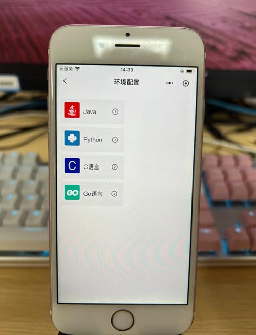学习哪种编程语言能快速提升我的软件开发技能？