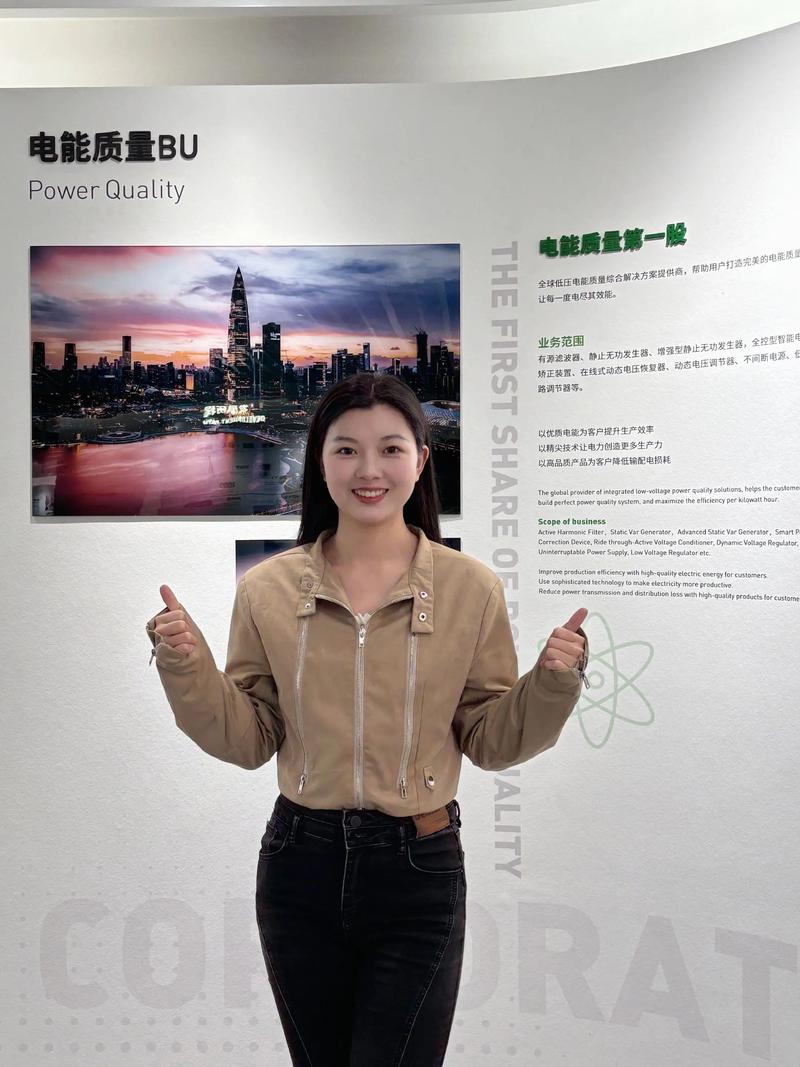 盛弘电气网站二次开发，能提升哪些用户体验？
