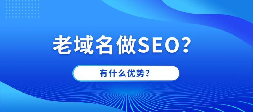 老域名对网站SEO优化有哪些具体好处？