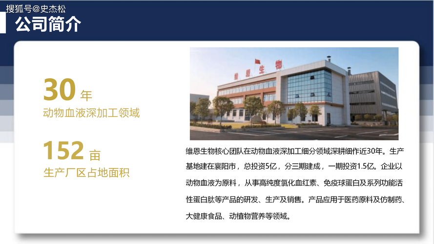 如何通过公司简介了解仪器公司发展历程及核心优势？